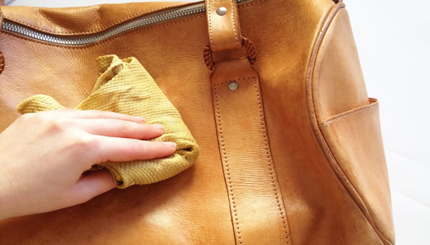 Leather Bag Care: The Basics