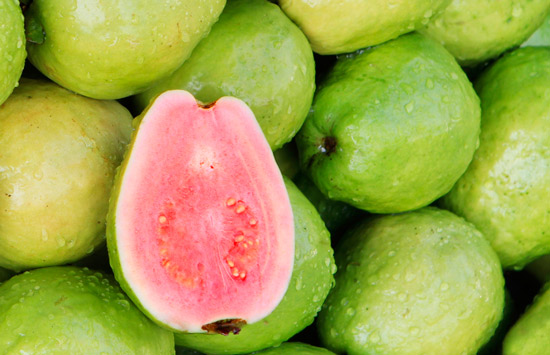guava-550px
