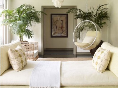 plants1